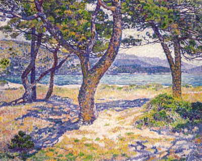 Das Mittelmeer bei Le Lavandou von Théo van Rysselberghe